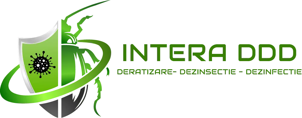 Intera DDD Sibiu